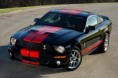 /album/mustangy/bez-nazvutgg-jpg/